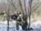 16-а доба опору російським загарбникам: Генштаб ЗСУ повідомив оперативні дані станом на ранок