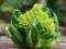Romanesco cabbage: composition, benefits, diets, recipes
