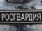 В Краснодаре уволили росгвардейцев, которые отказались ехать в Украину