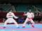 Украина примет чемпионат Европы по карате