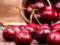 In Melitopol, farmers poisoned Russian troops with cherries
