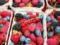 A nutritionist told how fruits and berries do not harm the body
