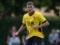 Fenerbahce signing Watford striker