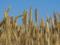 Украина, Турция и ООН подписали соглашение об экспорте зерна