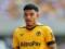 Nottingham Forest charged €52 million for Wolverhampton midfielder