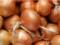 Onions will be in short supply: the harvest in Ukraine is significantly lower than last year, there is not enough vegetables in 