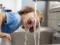 Scientists reveal link between drinking water and aging