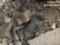 The occupiers got into the building in the Kherson region: a man died