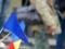 У Росії загрожують Молдові через її намір вступити до НАТО