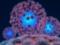 Вирусы обладают своей иммунной системой