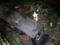 In Brazil, a bus with a football team fell off a bridge: there are dead and injured