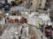 Turkey earthquake death toll rises to more than 3,000. Human. Tens of thousands suffered