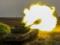 Armed Forces of Ukraine destroyed a record number of occupiers in a day - General Staff