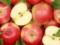 Дієтолог розповіла про небезпеку зелених яблук