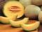 Scientists: pumpkin and black radish will get rid of toxins