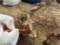 Археологи нашли в Мексике погребальные курганы древней цивилизации
