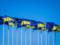 Ukraine s accession to the EU: experts positively assess the idea of \u200b\u200bself-screening