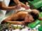 Herbal medicine for women s diseases: mastitis, vaginismus, endometriosis