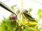 Vegetable oils that can cause blood clots - among them there is sunflower