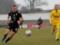 Odaryuk s double brought victory to Ingulets over Metalist