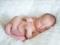 Food allergies in babies: mom s first steps