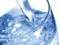 Специалисты выяснили, почему люди предпочитают покупать бутилированную воду