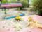 Registering a child in kindergarten: what parents need to know