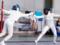 Fencing Federation of Ukraine challenged the return of Russians and Belarusians to international sports in CAS