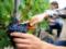 Nutritionist Strokov explained why grapes prolong life by 5 years