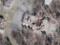 Google Maps оновили карти Маріуполя, на них видно нові поховання