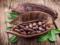 Ученые: какао напиток улучшает память