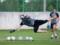 Oleksandriya returned from the exit, the club held three sparrings