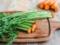 Korist badilla carrots