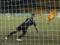 Greece - Netherlands 0:1 Video of the goal and review of the Euro 2024 selection match