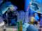 Виникнення епідемії захворювання гепатиту А в Україні: Закарпаття та Дніпропетровська область серед постраждалих
