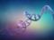 «Безопаснее, чем CRISPR»: в США проводят клинические испытания редакторов РНК