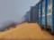 30 тонн всыпанной на железной дороге украинской кукурузы – что с ней сделают в Польше