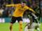 Wolverhampton knock out Brighton from FA Cup