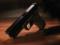 ВРУ приняла в первом чтении законопроект о декларировании незарегистрированного огнестрельного оружия