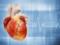 Простий спосіб попередження серцевої недостатності: вчені розкривають ключові відкриття