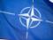 Страны НАТО требуют большего реализма — The Times