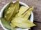 Bay leaf improves immunity and protects against the development of cancer