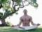 Очищение разума: восемь шагов аштанга йоги