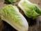 The redness and power of cabbage: why it is not recommended to eat cabbage