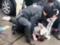 Наезд в Мюнхене: полиция задержала афганца