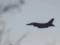Воздушные силы: Произошла внештатная ситуация с F-16