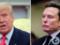Трамп фигурирует в делах Эпштейна: Маск набросился на президента США с обвинениями
