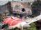 India Today узнал о нехватке тяги у разбившегося в Индии самолета