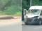 Под Винницей микроавтобус сбил лося