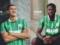 Sassuolo tulp the cucumber of Zakhisnik